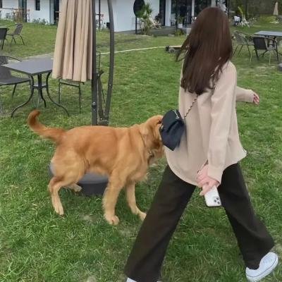 虎